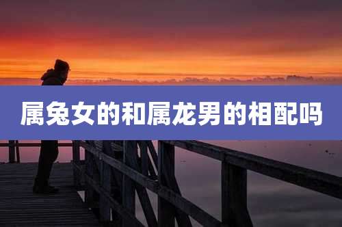 属兔女的和属龙男的相配吗
