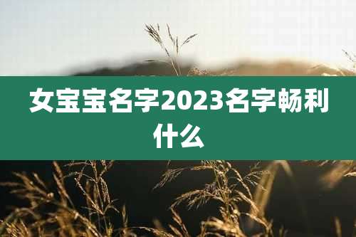 女宝宝名字2023名字畅利什么