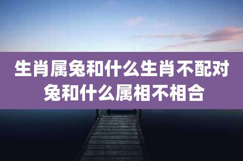 生肖属兔和什么生肖不配对 兔和什么属相不相合