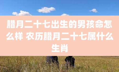 腊月二十七出生的男孩命怎么样 农历腊月二十七属什么生肖