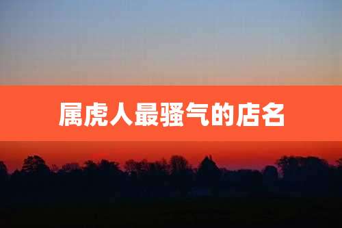 属虎人最骚气的店名