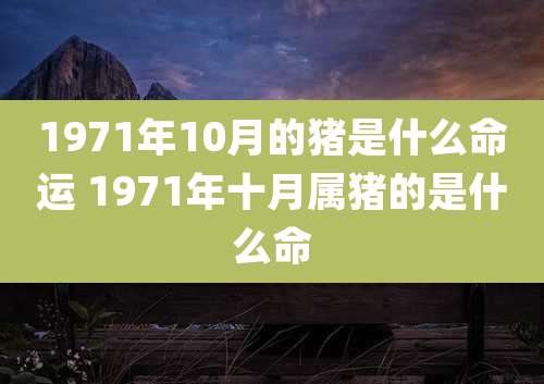 1971年10月的猪是什么命运 1971年十月属猪的是什么命