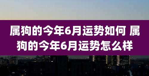 属狗的今年6月运势如何 属狗的今年6月运势怎么样