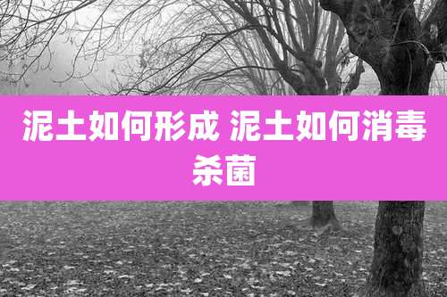 泥土如何形成 泥土如何消毒杀菌