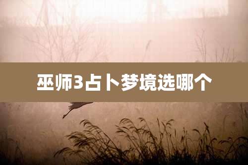 巫师3占卜梦境选哪个