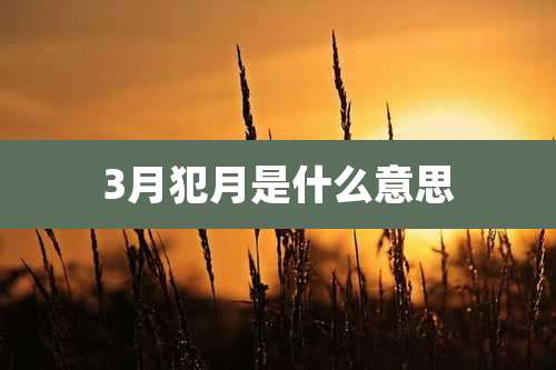 3月犯月是什么意思
