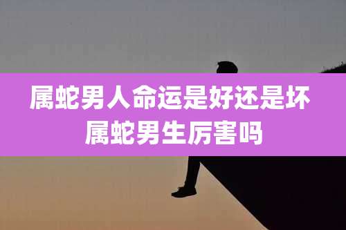 属蛇男人命运是好还是坏 属蛇男生厉害吗