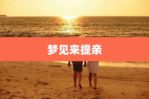 梦见来提亲