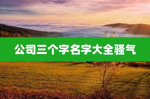 公司三个字名字大全骚气