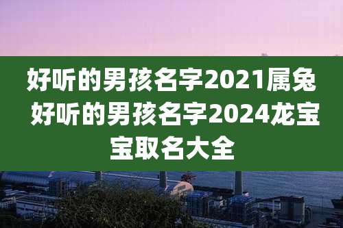 好听的男孩名字2021属兔 好听的男孩名字2024龙宝宝取名大全
