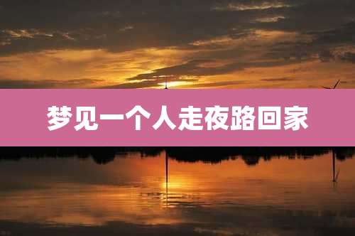 梦见一个人走夜路回家