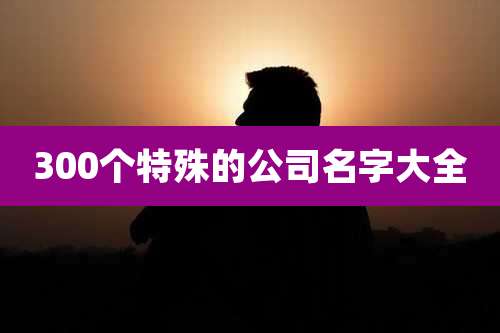 300个特殊的公司名字大全