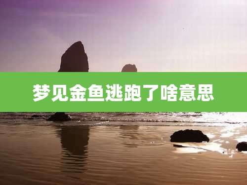 梦见金鱼逃跑了啥意思