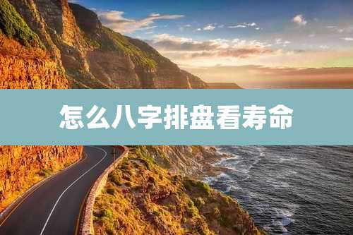 怎么八字排盘看寿命