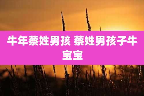 牛年蔡姓男孩 蔡姓男孩子牛宝宝