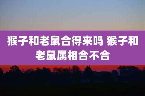 猴子和老鼠合得来吗 猴子和老鼠属相合不合