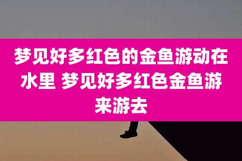 梦见好多红色的金鱼游动在水里 梦见好多红色金鱼游来游去