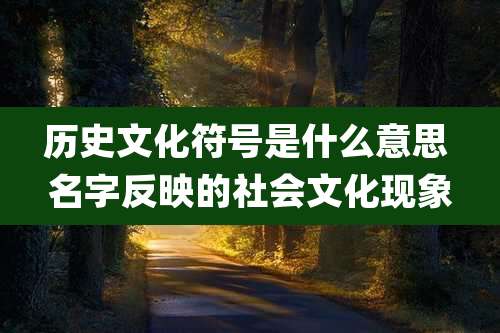 历史文化符号是什么意思 名字反映的社会文化现象