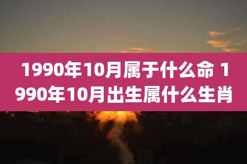 1990年10月属于什么命 1990年10月出生属什么生肖