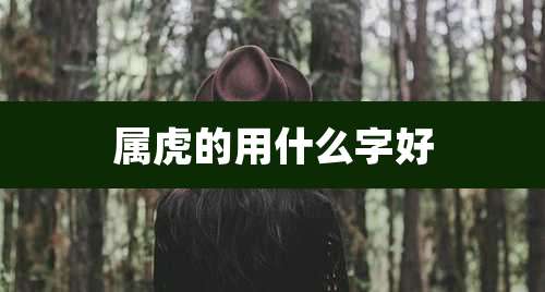 属虎的用什么字好