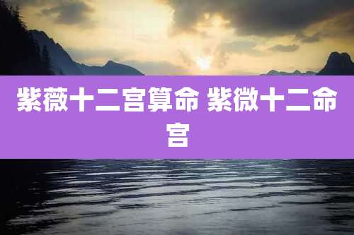 紫薇十二宫算命 紫微十二命宫