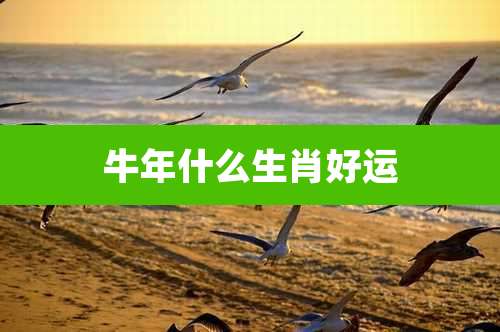 牛年什么生肖好运