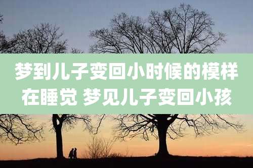 梦到儿子变回小时候的模样在睡觉 梦见儿子变回小孩