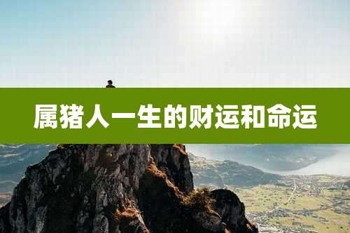 属猪人一生的财运和命运