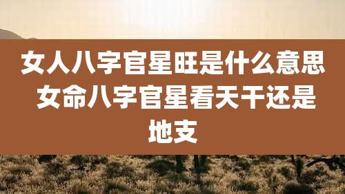 女人八字官星旺是什么意思 女命八字官星看天干还是地支