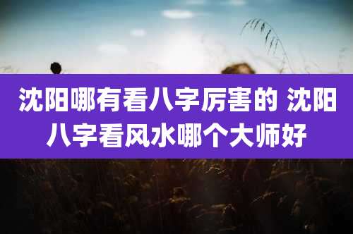 沈阳哪有看八字厉害的 沈阳八字看风水哪个大师好