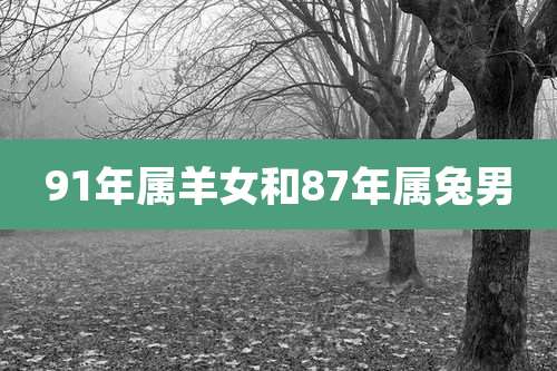 91年属羊女和87年属兔男