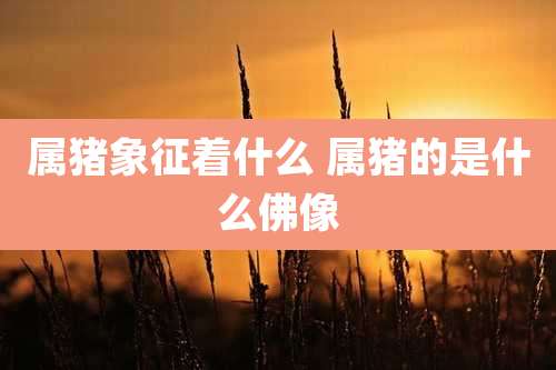 属猪象征着什么 属猪的是什么佛像