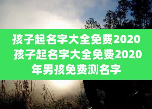 孩子起名字大全免费2020 孩子起名字大全免费2020年男孩免费测名字