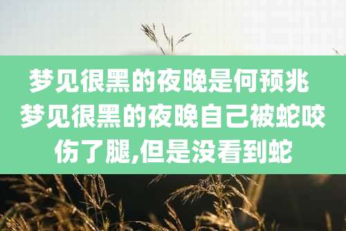 梦见很黑的夜晚是何预兆 梦见很黑的夜晚自己被蛇咬伤了腿,但是没看到蛇
