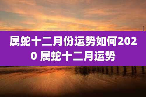 属蛇十二月份运势如何2020 属蛇十二月运势