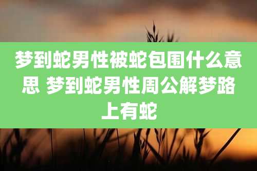 梦到蛇男性被蛇包围什么意思 梦到蛇男性周公解梦路上有蛇