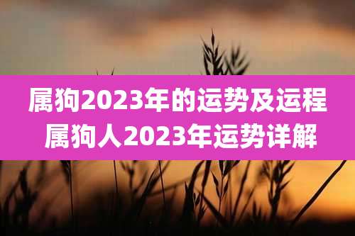 属狗2023年的运势及运程 属狗人2023年运势详解