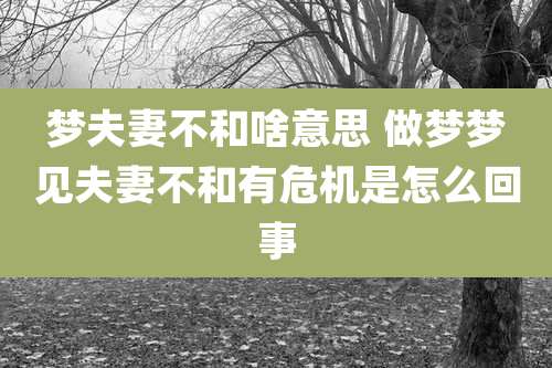 梦夫妻不和啥意思 做梦梦见夫妻不和有危机是怎么回事