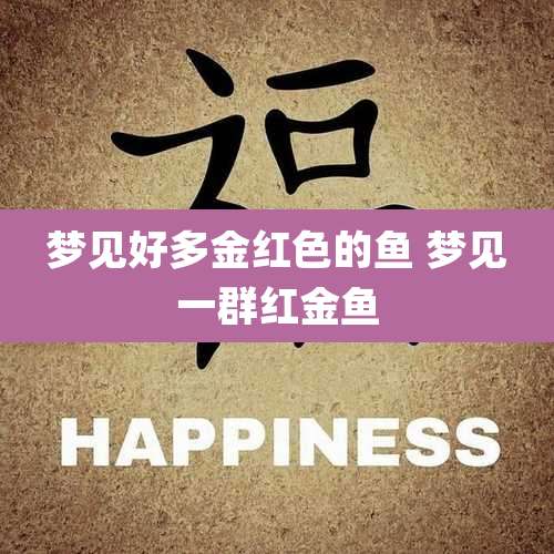 梦见好多金红色的鱼 梦见一群红金鱼