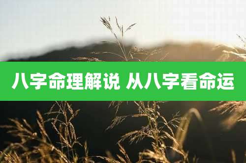 八字命理解说 从八字看命运