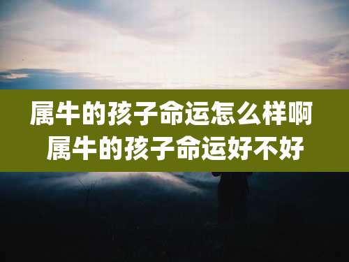 属牛的孩子命运怎么样啊 属牛的孩子命运好不好