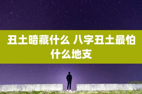 丑土暗藏什么 八字丑土最怕什么地支