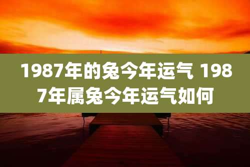 1987年的兔今年运气 1987年属兔今年运气如何