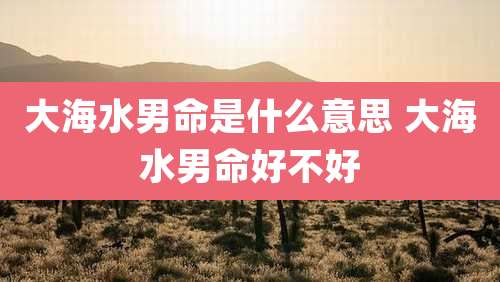 大海水男命是什么意思 大海水男命好不好
