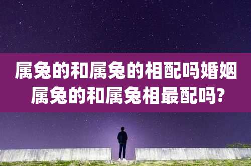属兔的和属兔的相配吗婚姻 属兔的和属兔相最配吗?