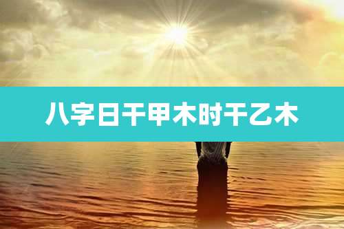 八字日干甲木时干乙木