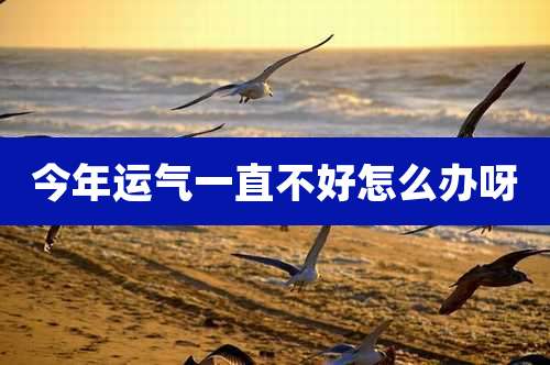 今年运气一直不好怎么办呀