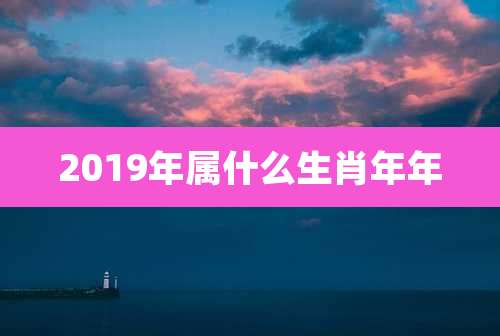 2019年属什么生肖年年