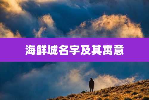 海鲜城名字及其寓意