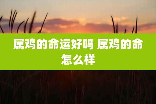 属鸡的命运好吗 属鸡的命怎么样
